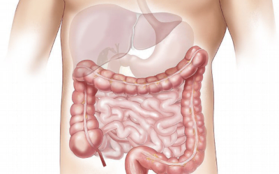 La constipation – Comment s’en débarrasser ?