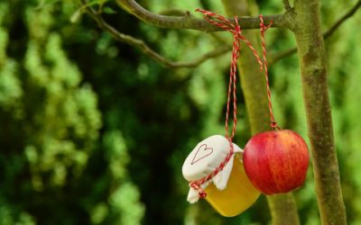 Monodiète : Recettes à base de pommes